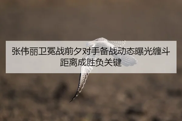 张伟丽卫冕战前夕对手备战动态曝光缠斗距离成胜负关键